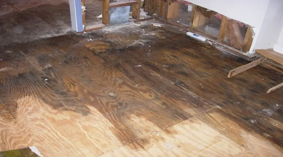 how-to-repair-water-damage-in-your-living